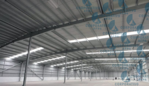 EMMANUEL Y SU ESCENCIA EN CONCIERTO (3)